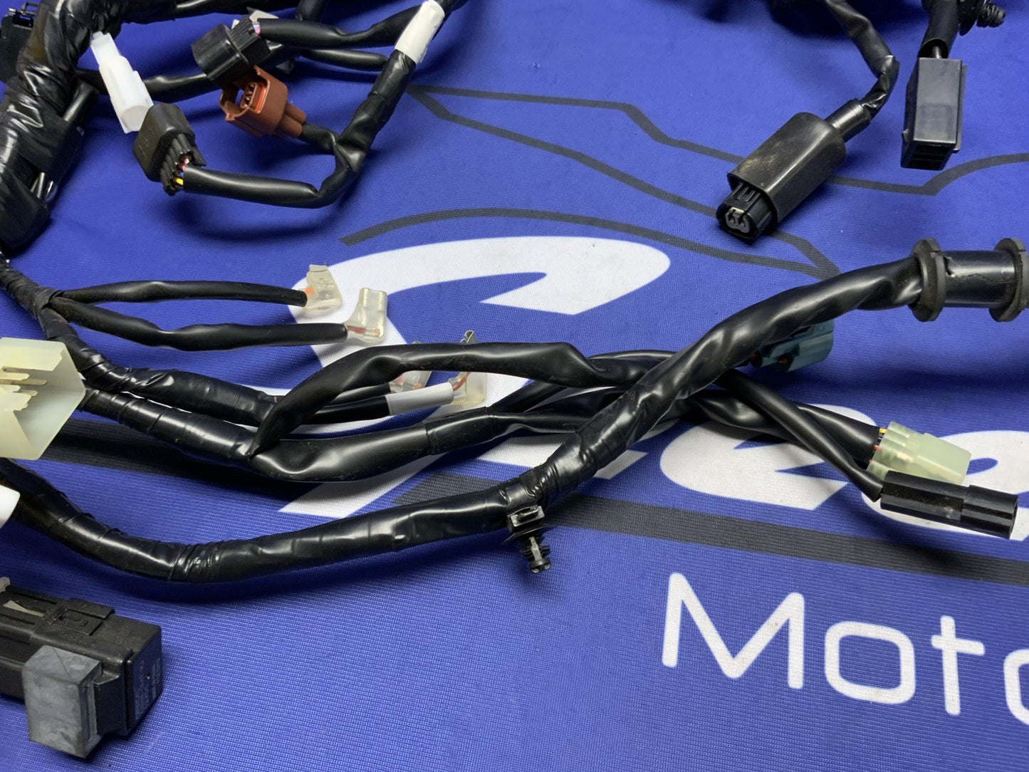 Yamaha Main Wire Harness YZF-R3 2019-2024 OEM B5L-H2590-10-00