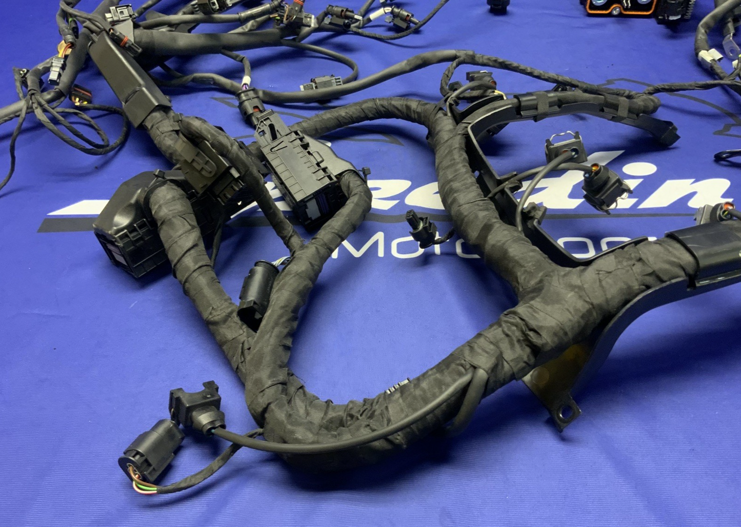 BMW Main Wire Harness S1000RR (K67) 2019-2022 OEM 61117105051
