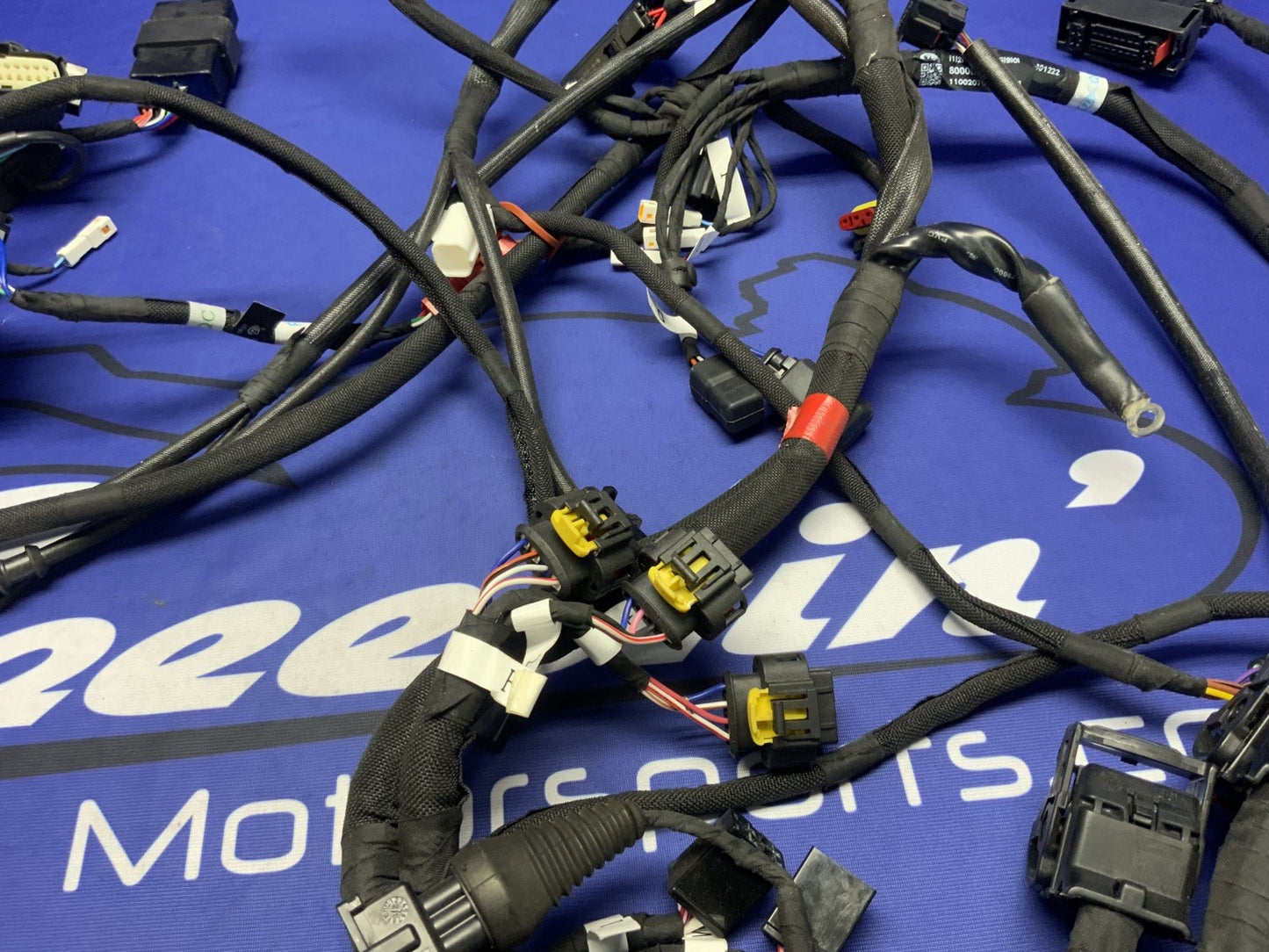 MV Agusta Wiring Harness F3R/RR 2023 OEM 8000D1225