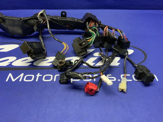 Triumph Main Wiring Harness (No Horn Connector) Street Triple 2023-2025 T2506090