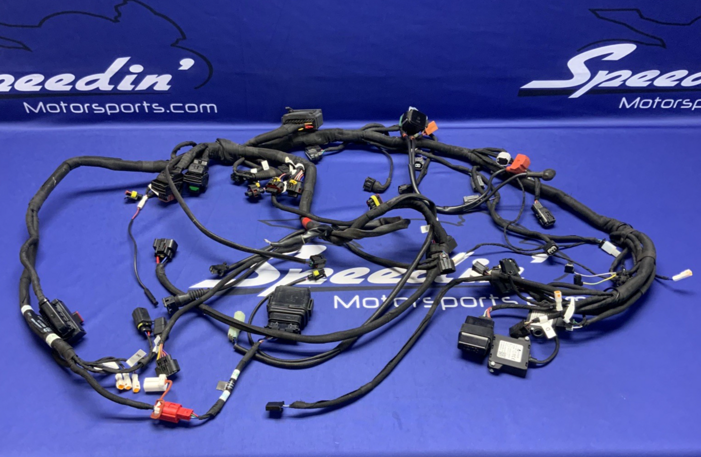 MV Agusta Wiring Harness F3R/RR 2023 OEM 8000D1225