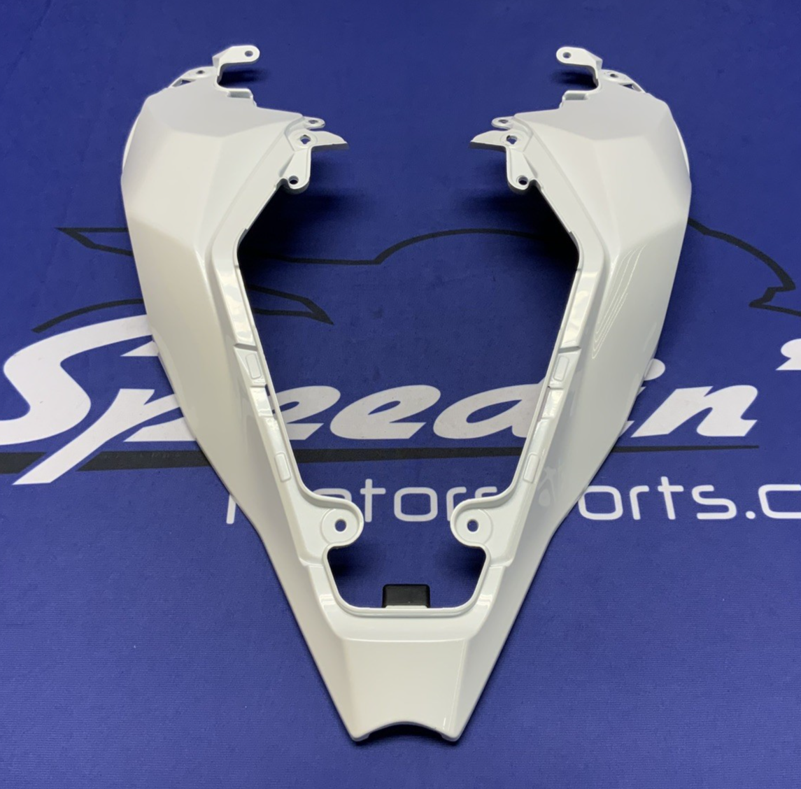 Kawasaki Rear Tail Fairing (40th Ann) ZX-10R/RR 2021-2025 OEM 36042-0007-667