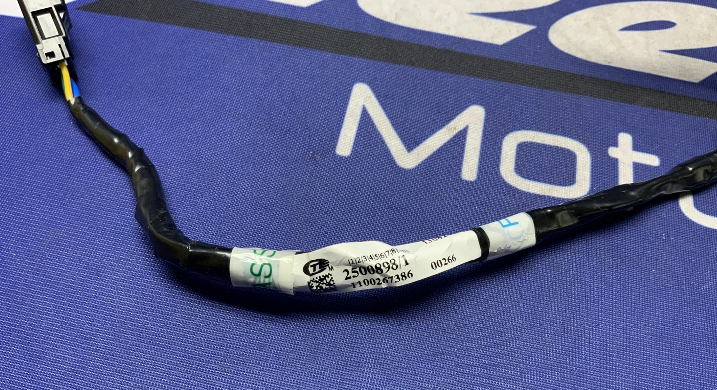 Triumph Rear Fender Lighting Harness Street Triple RS 765 2023-2026 OEM T2500898