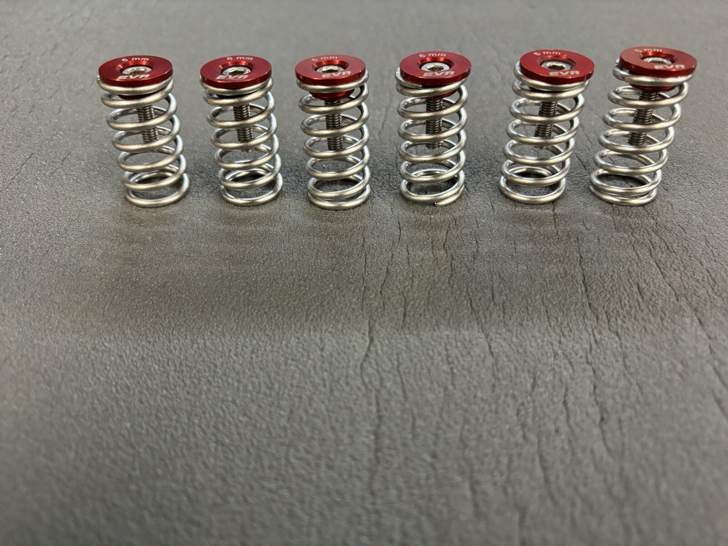 EVR Ducati Dry Clutch Stainless Steel Hardware kit