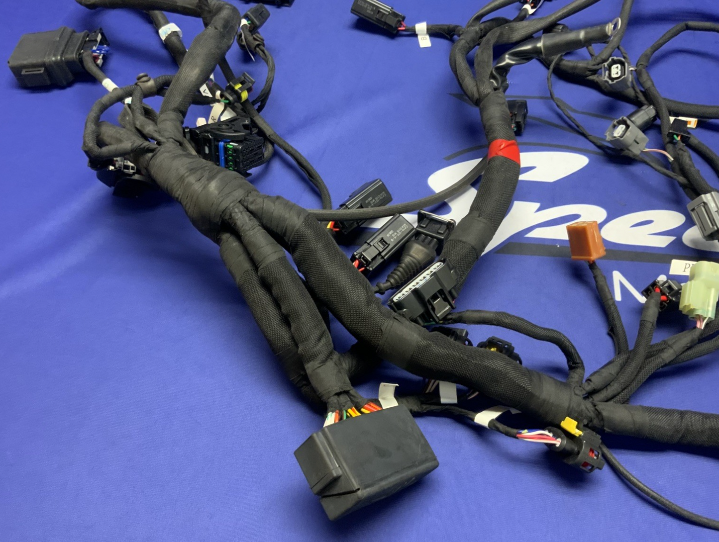 MV Agusta Wiring Harness F3R/RR 2023 OEM 8000D1225