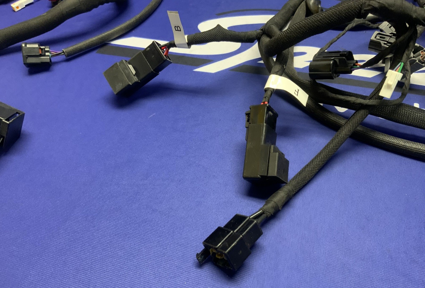 MV Agusta Wiring Harness F3R/RR 2023 OEM 8000D1225