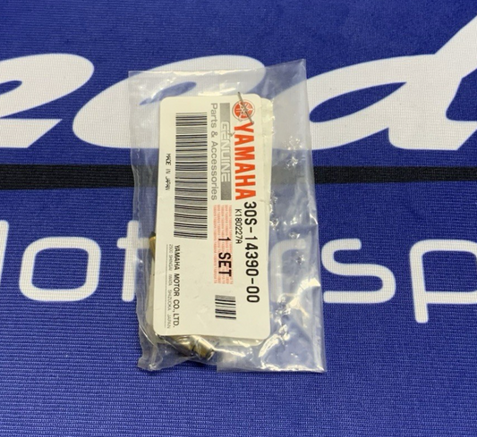 Yamaha Needle Valve Assembly TTR230 2011-2027 OEM 30S-14390-00-00