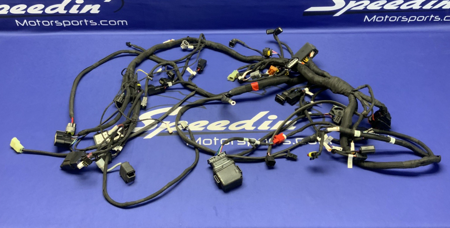 MV Agusta Wiring Harness F3R/RR 2023 OEM 8000D1225