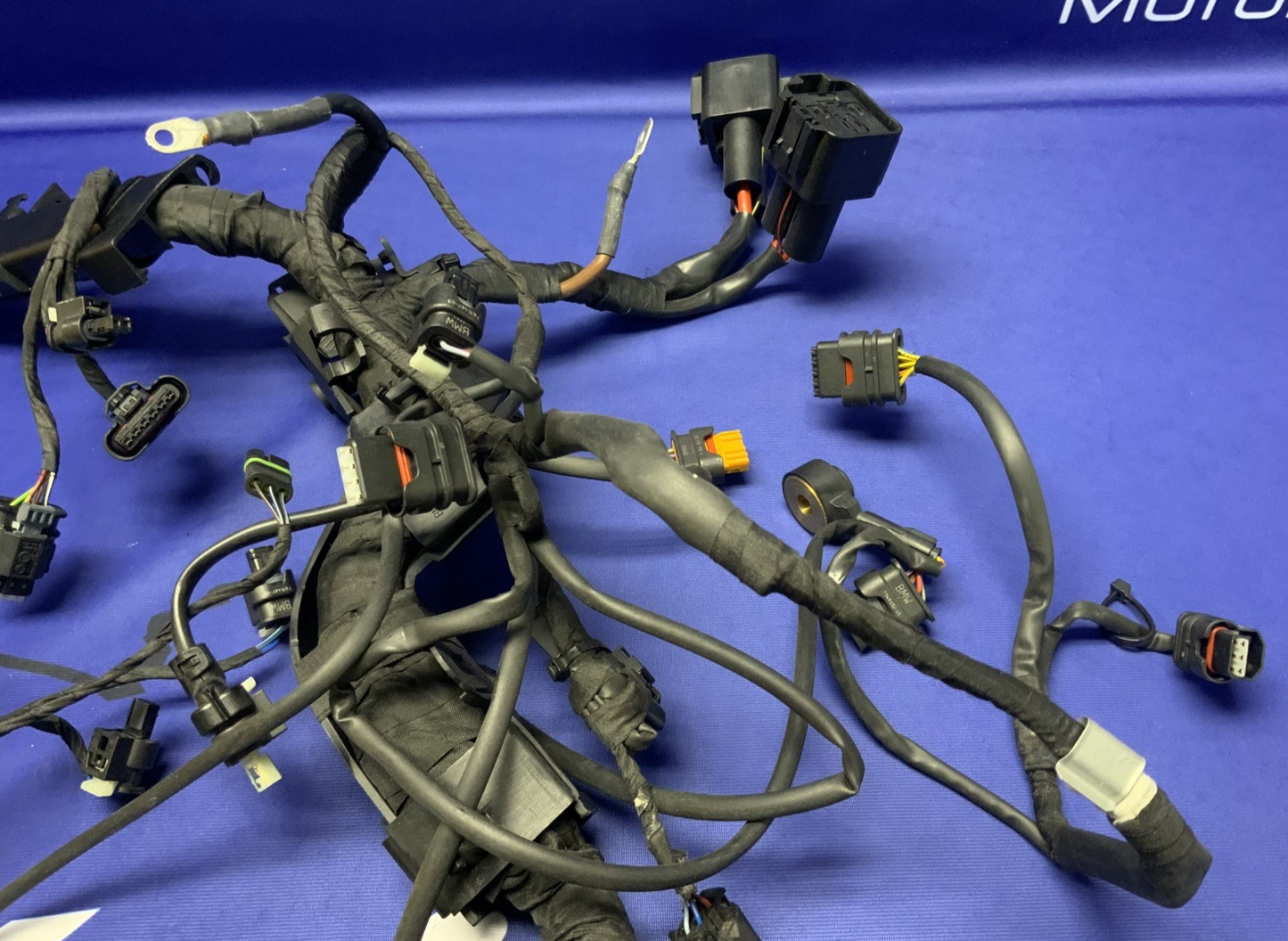 BMW Main Wire Harness S1000RR (K67) 2019-2022 OEM 61117105051
