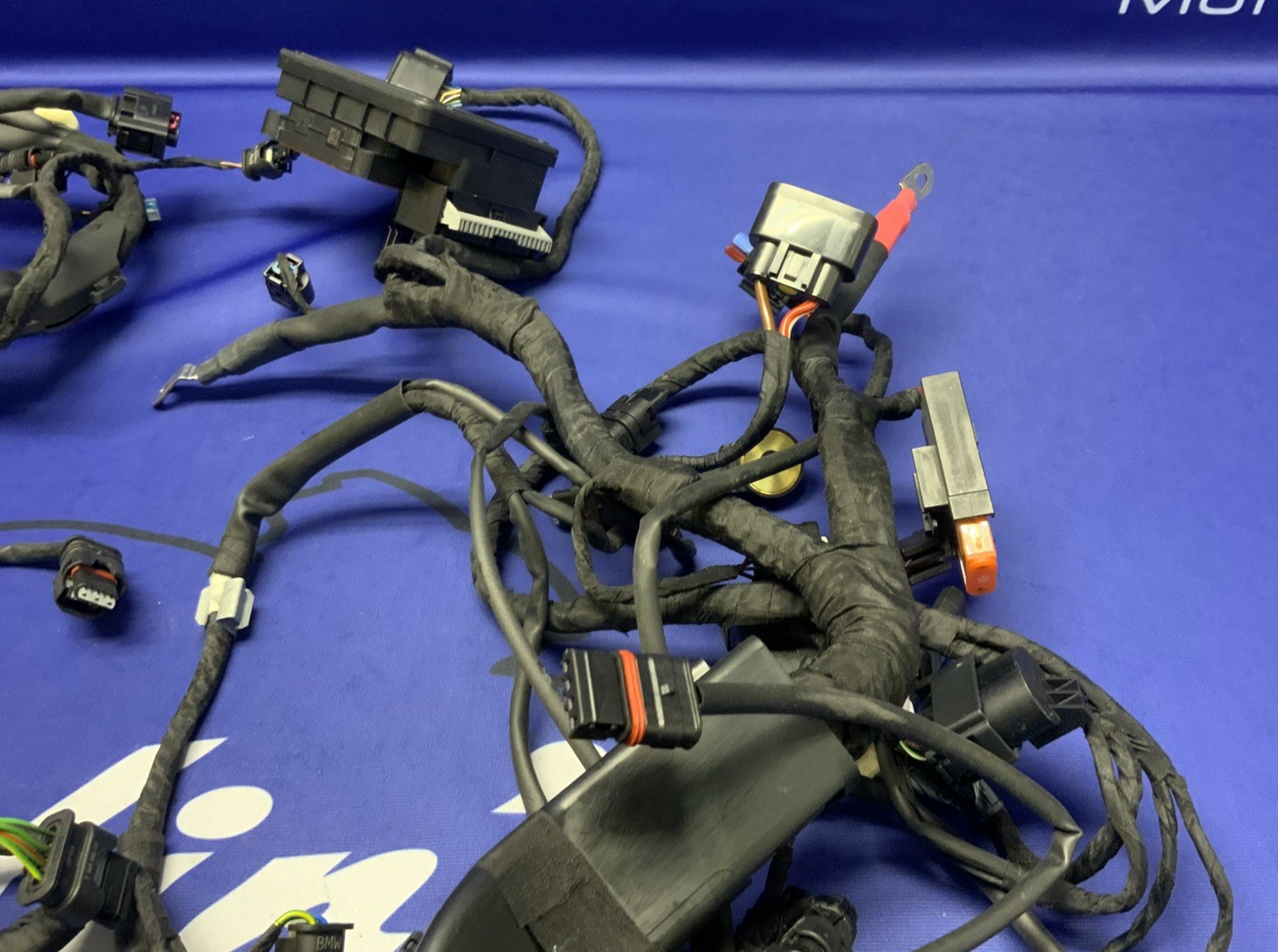 BMW Main Wire Harness S1000RR (K67) 2019-2022 OEM 61117105051