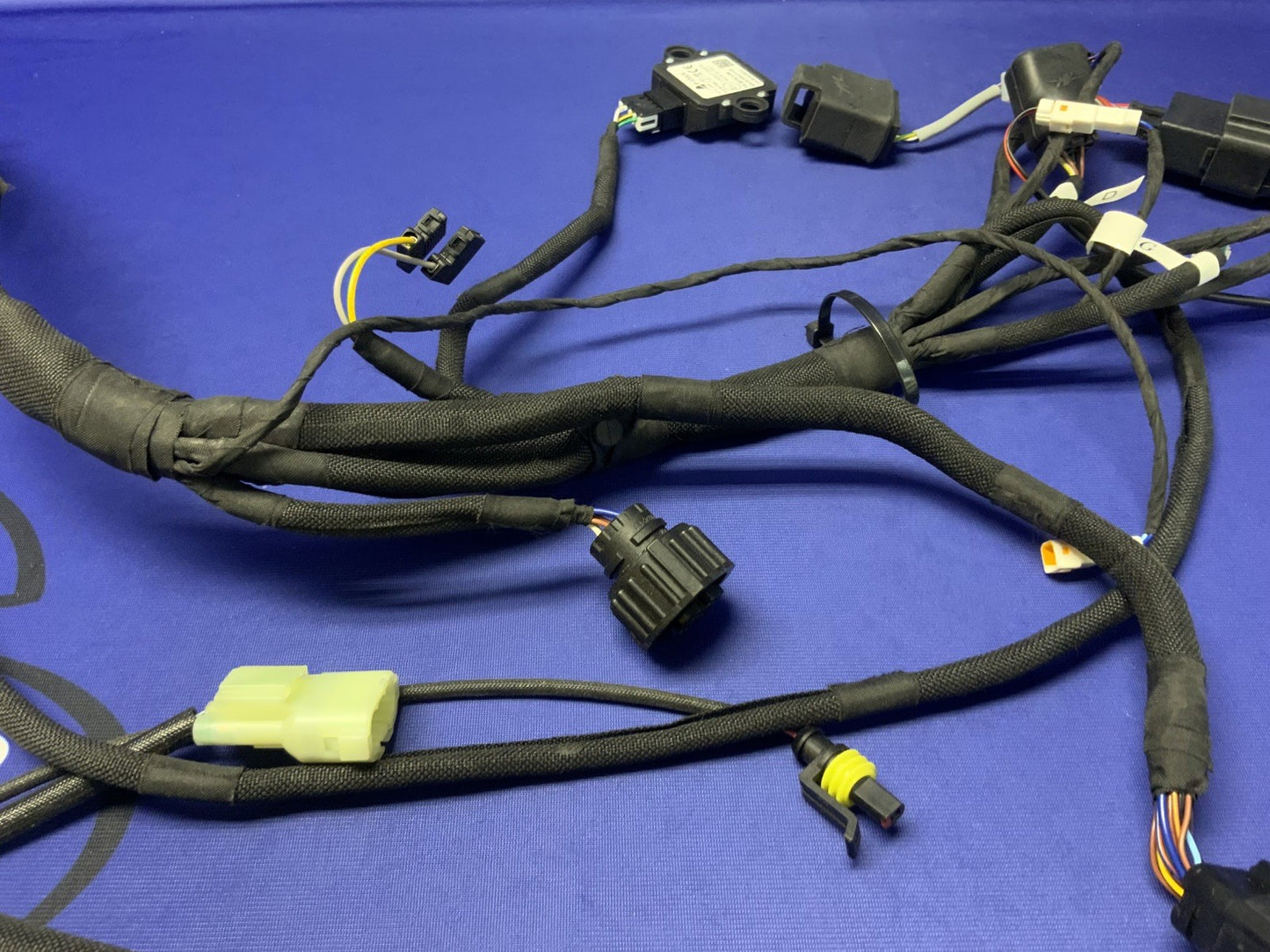 MV Agusta Wiring Harness F3R/RR 2023 OEM 8000D1225