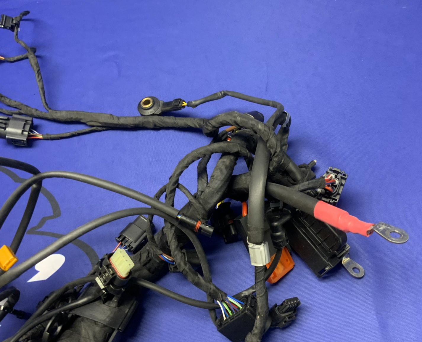BMW Main Wire Harness S1000RR (K67) 2019-2022 OEM 61117105051