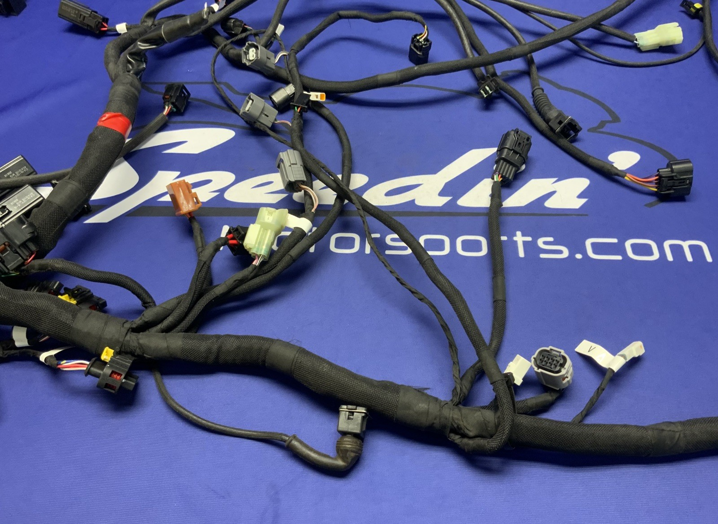 MV Agusta Wiring Harness F3R/RR 2023 OEM 8000D1225