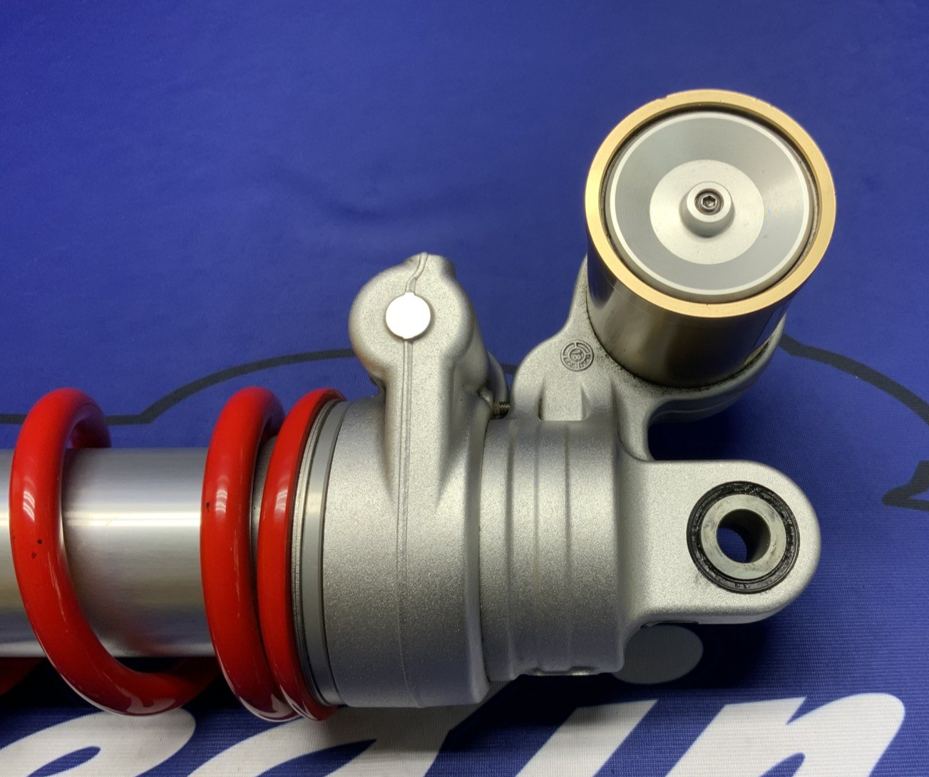 BMW Rear Shock Assembly S1000RR 2019-2025 OEM 33548565344