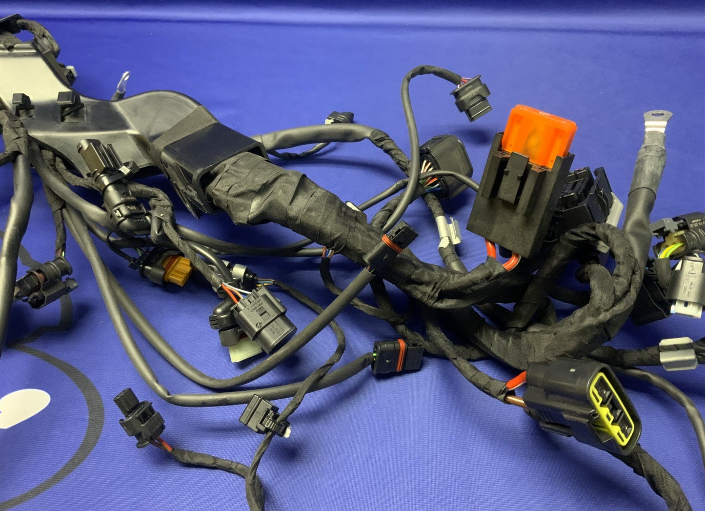 BMW Main Wire Harness S1000RR (K67) 2019-2022 OEM 61117105051