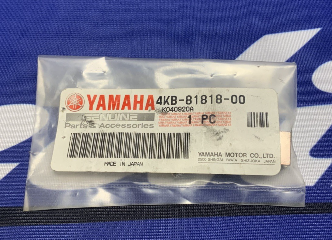 Yamaha Brush & Bolt Set Wolverine 350 1995-2005 OEM 4KB-81818-00-00