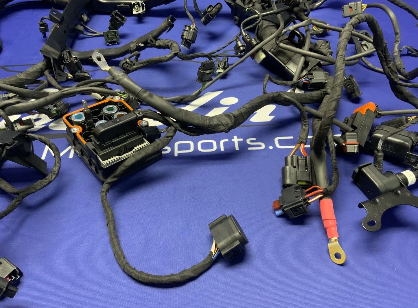 BMW Main Wire Harness S1000RR (K67) 2019-2022 OEM 61117105051