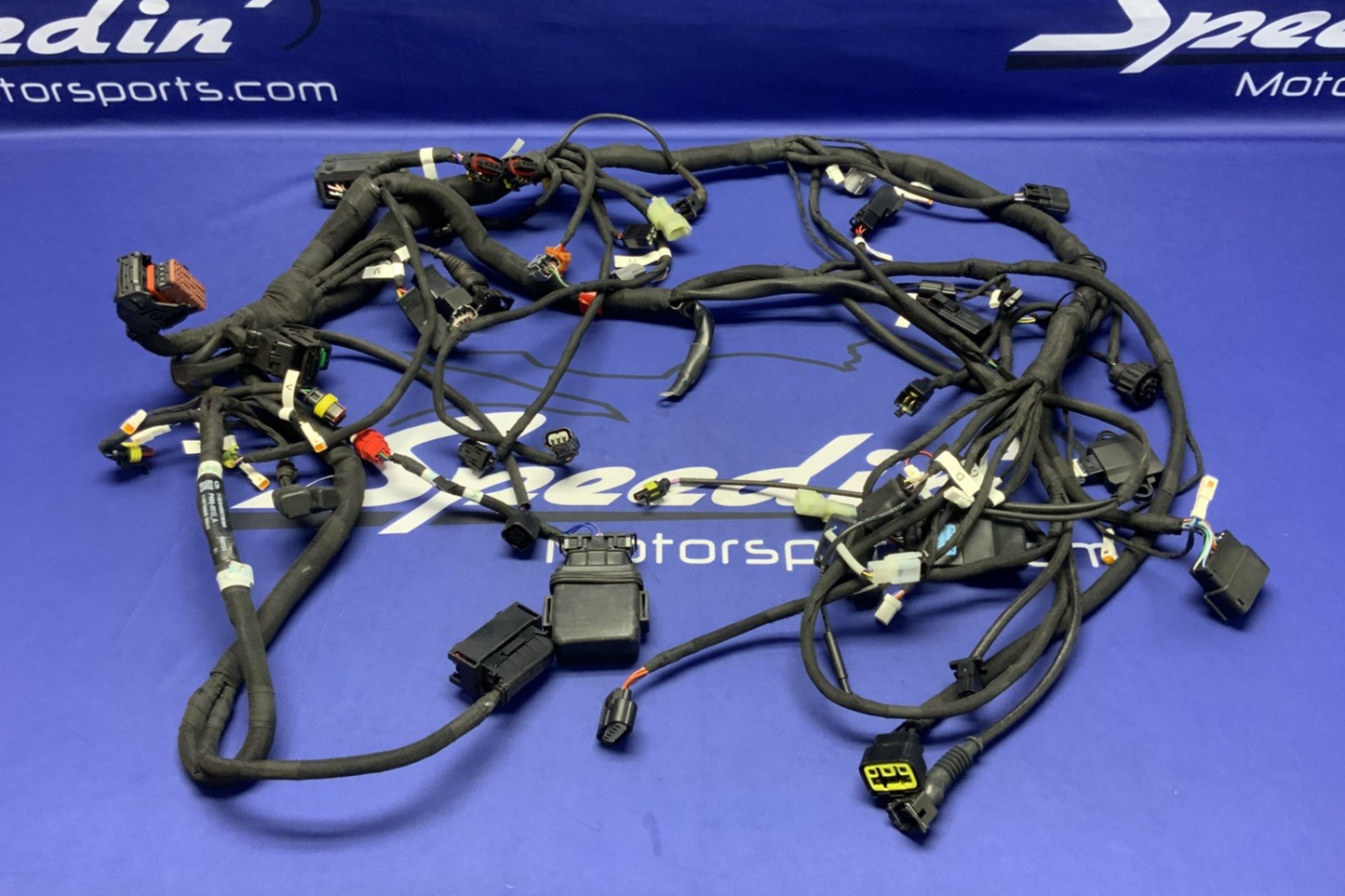 MV Agusta Wiring Harness F3R/RR 2023 OEM 8000D1225