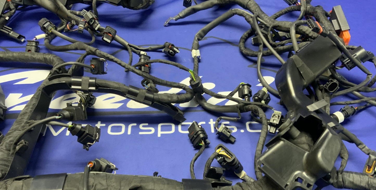 BMW Main Wire Harness S1000RR (K67) 2019-2022 OEM 61117105051