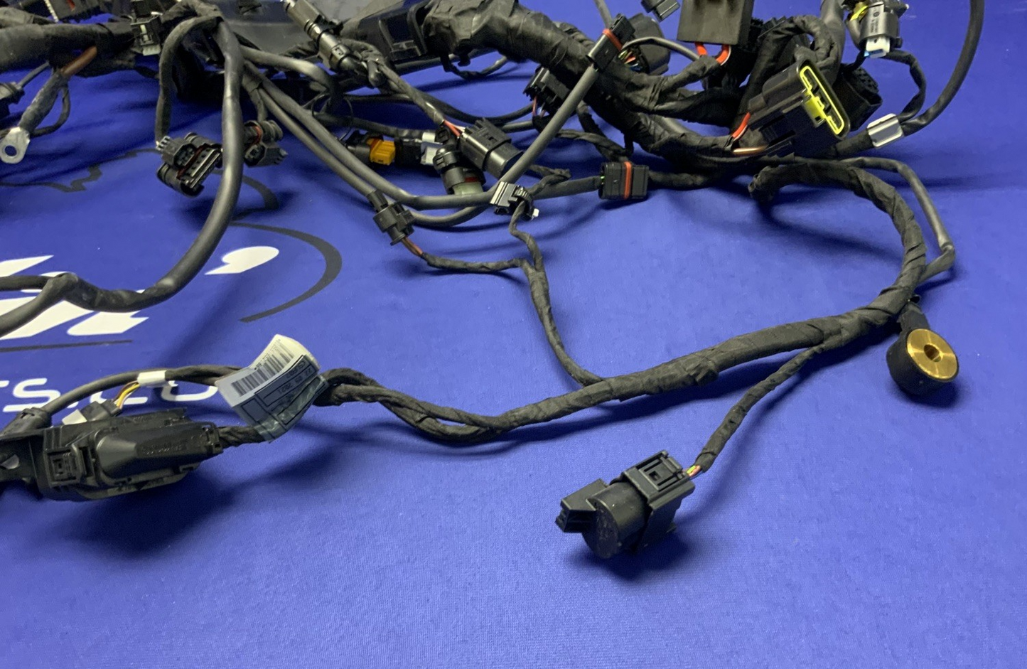 BMW Main Wire Harness S1000RR (K67) 2019-2022 OEM 61117105051