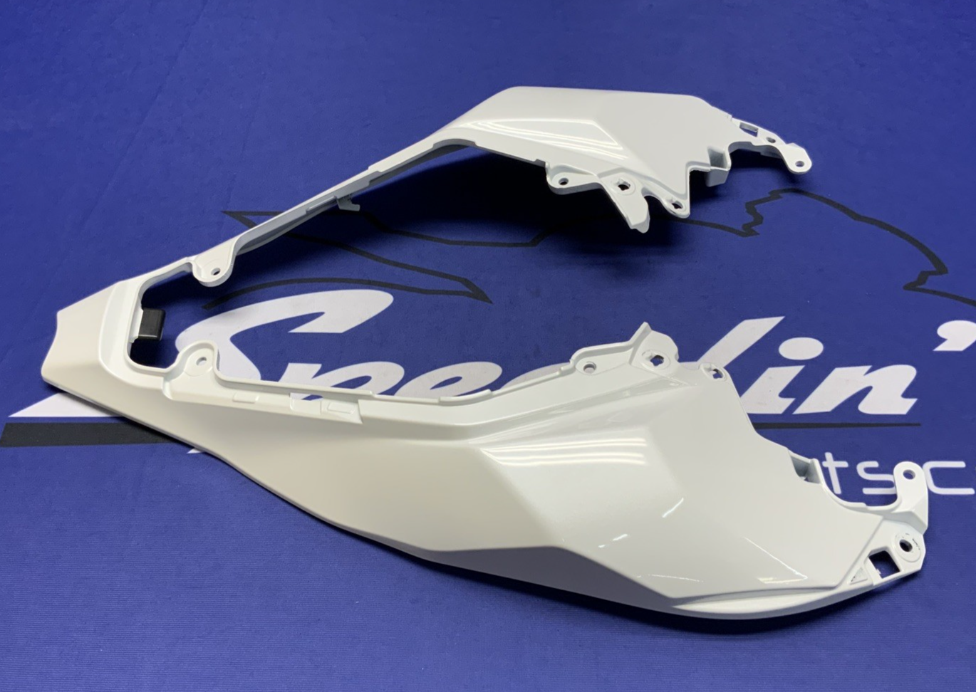 Kawasaki Rear Tail Fairing (40th Ann) ZX-10R/RR 2021-2025 OEM 36042-0007-667