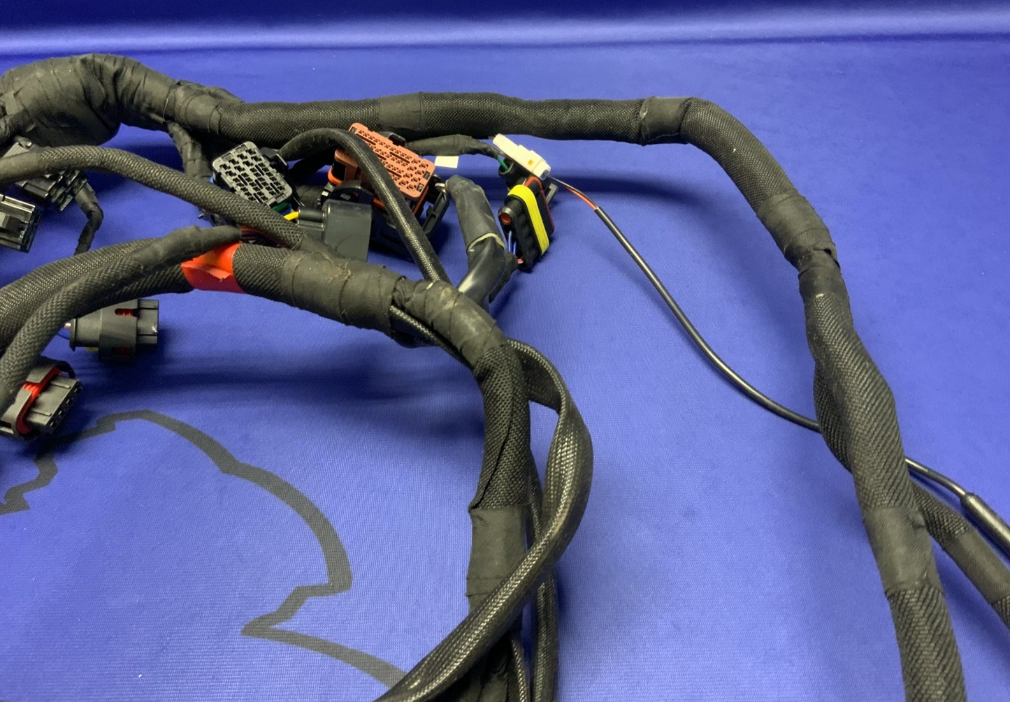 MV Agusta Wiring Harness F3R/RR 2023 OEM 8000D1225