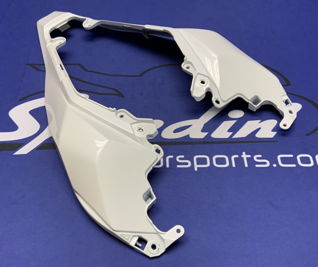 Kawasaki Rear Tail Fairing (40th Ann) ZX-10R/RR 2021-2025 OEM 36042-0007-667