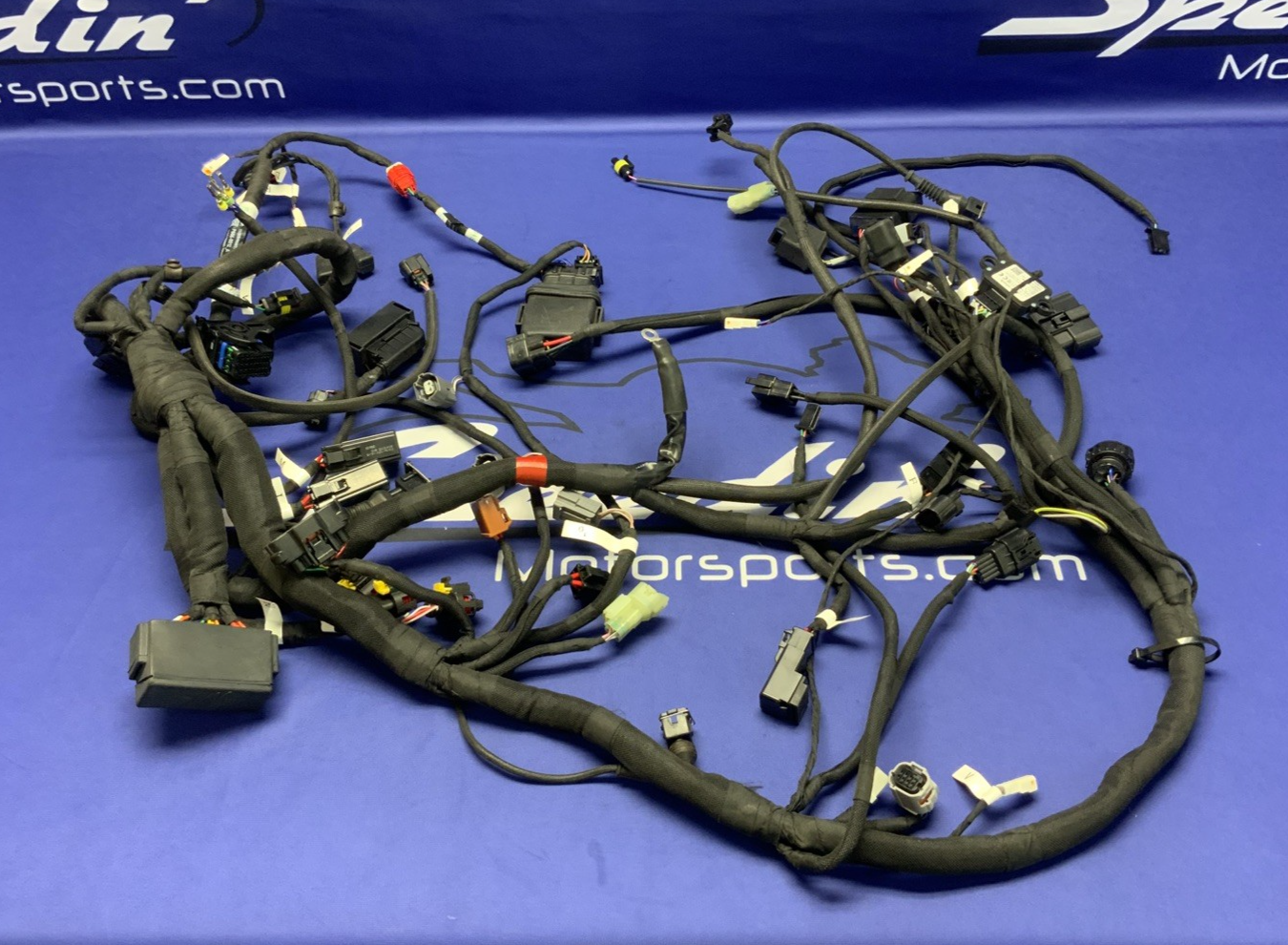 MV Agusta Wiring Harness F3R/RR 2023 OEM 8000D1225