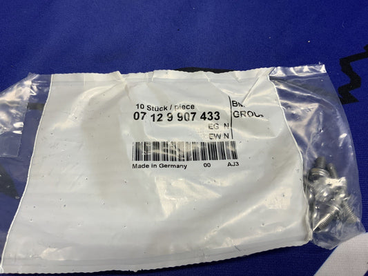 BMW Torx Bolt M5x10MM S1000RR 2014-2026 OEM 07129907433