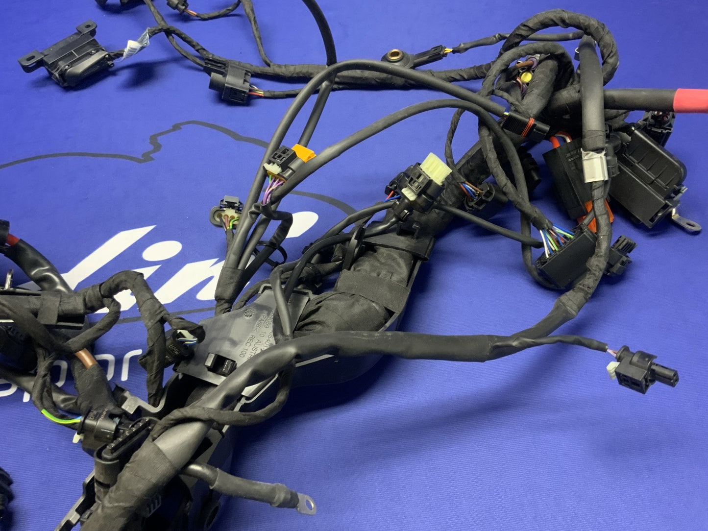 BMW Main Wire Harness S1000RR (K67) 2019-2022 OEM 61117105051