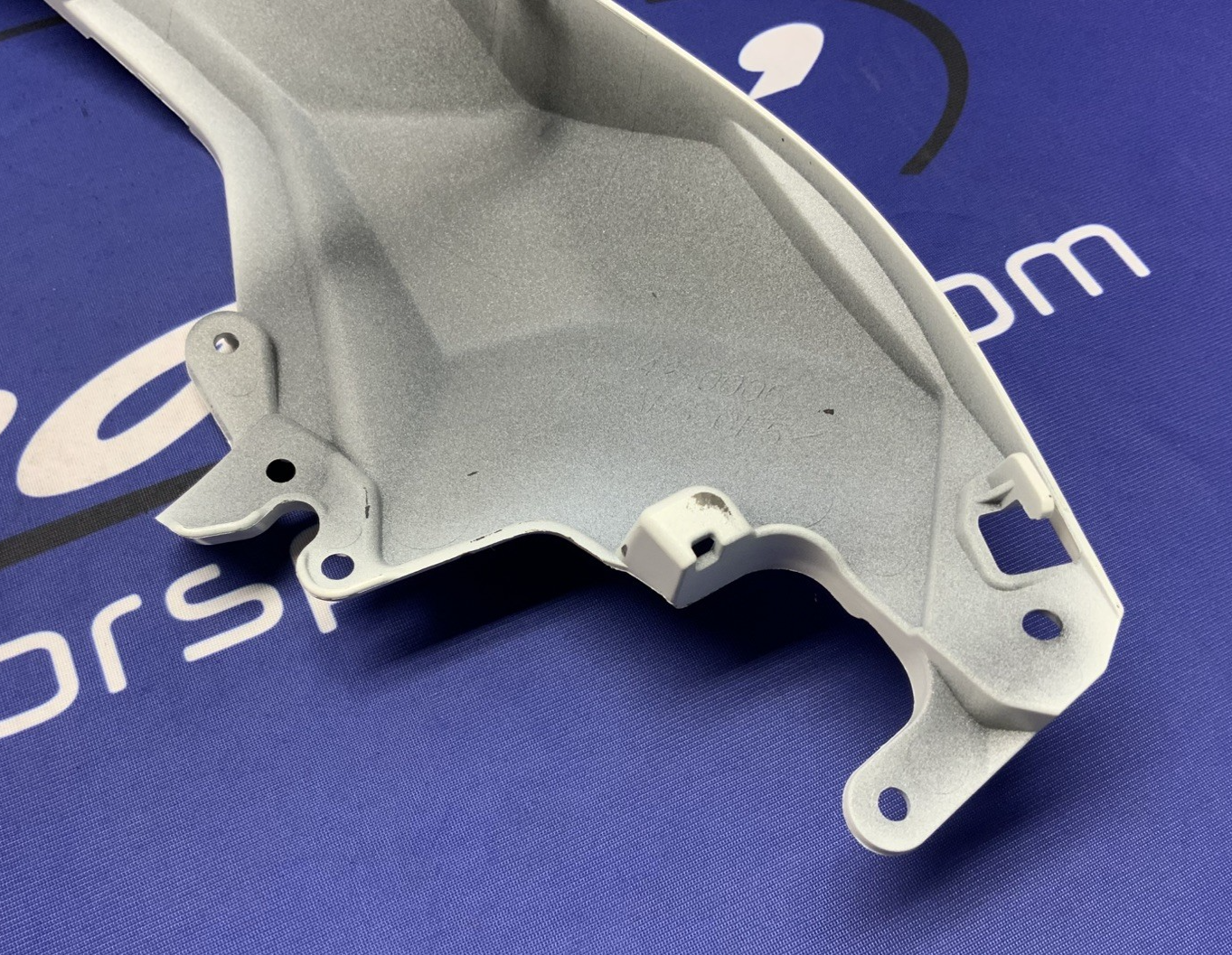 Kawasaki Rear Tail Fairing (40th Ann) ZX-10R/RR 2021-2025 OEM 36042-0007-667