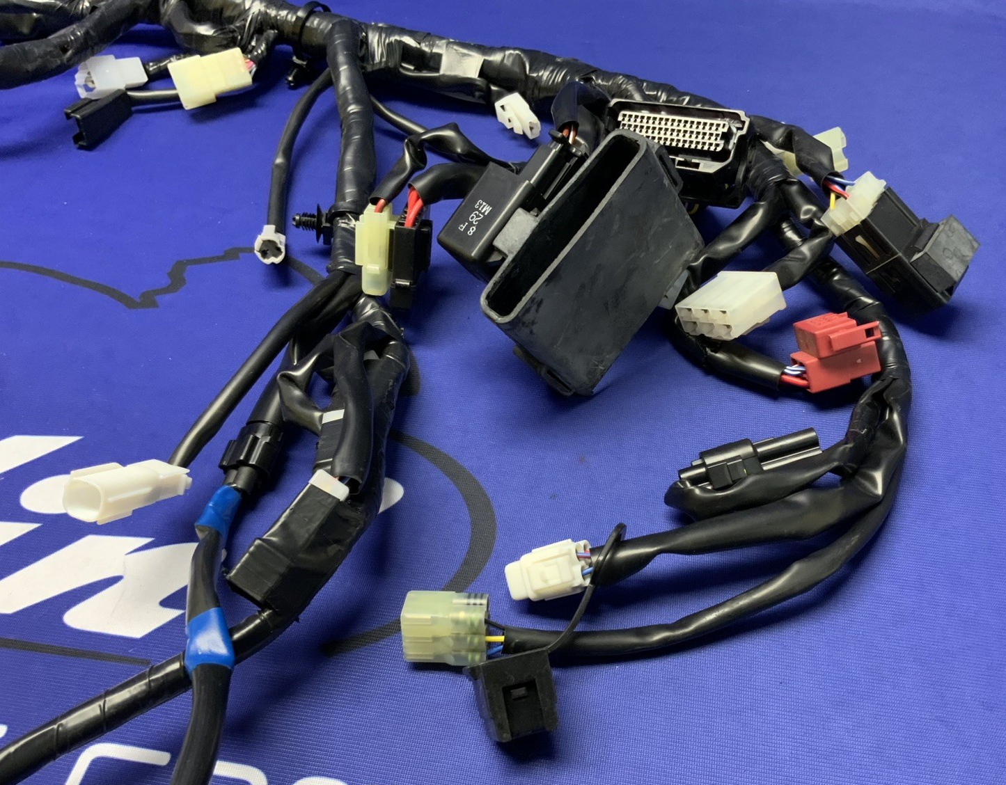 Yamaha Main Wire Harness YZF-R3 2019-2024 OEM B5L-H2590-10-00
