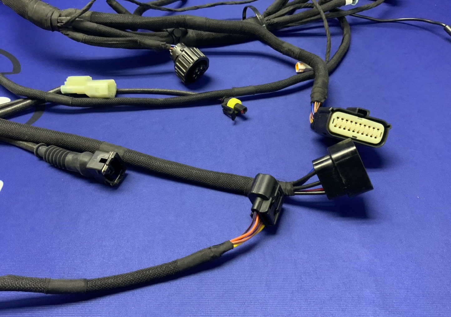 MV Agusta Wiring Harness F3R/RR 2023 OEM 8000D1225