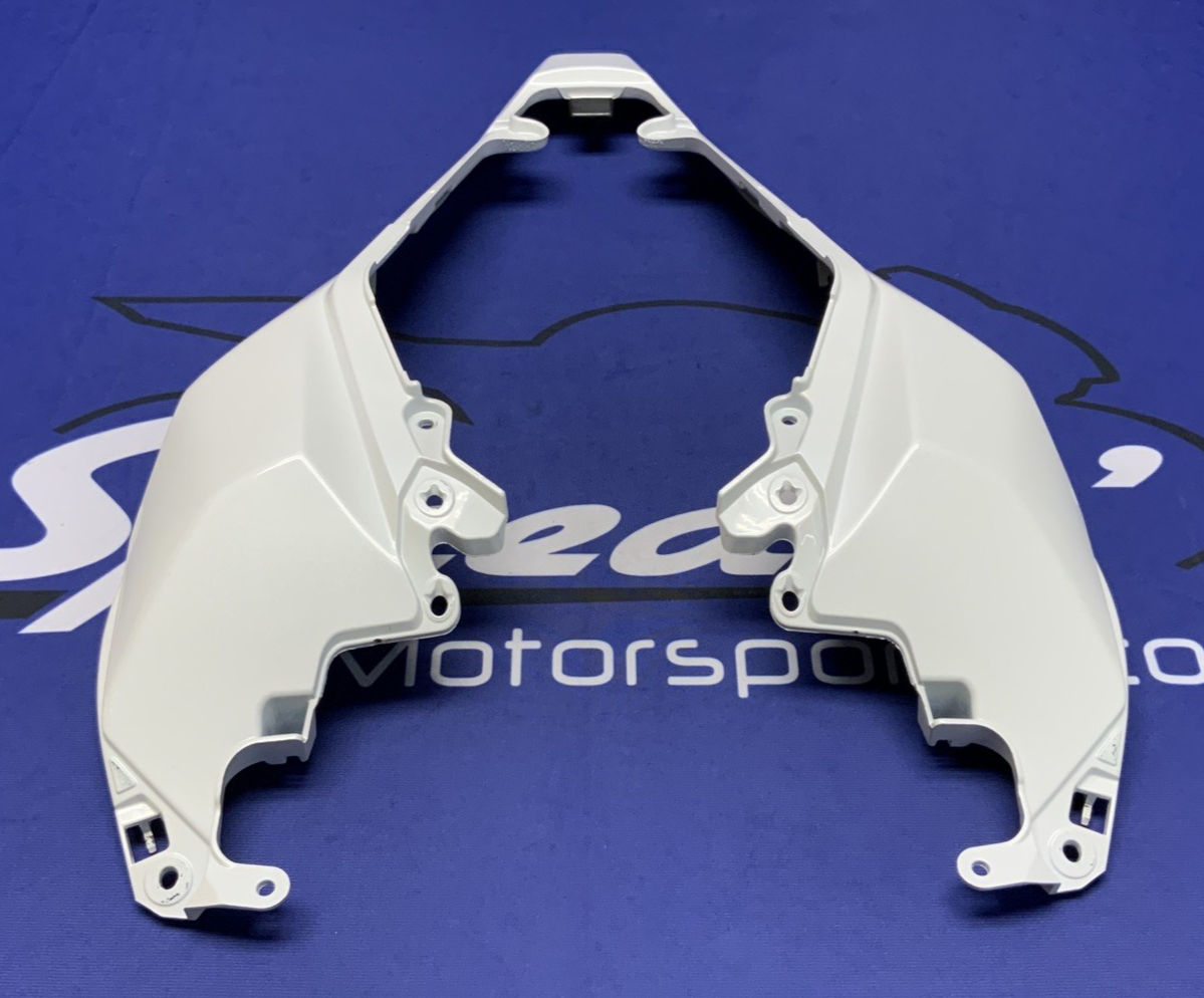 Kawasaki Rear Tail Fairing (40th Ann) ZX-10R/RR 2021-2025 OEM 36042-0007-667