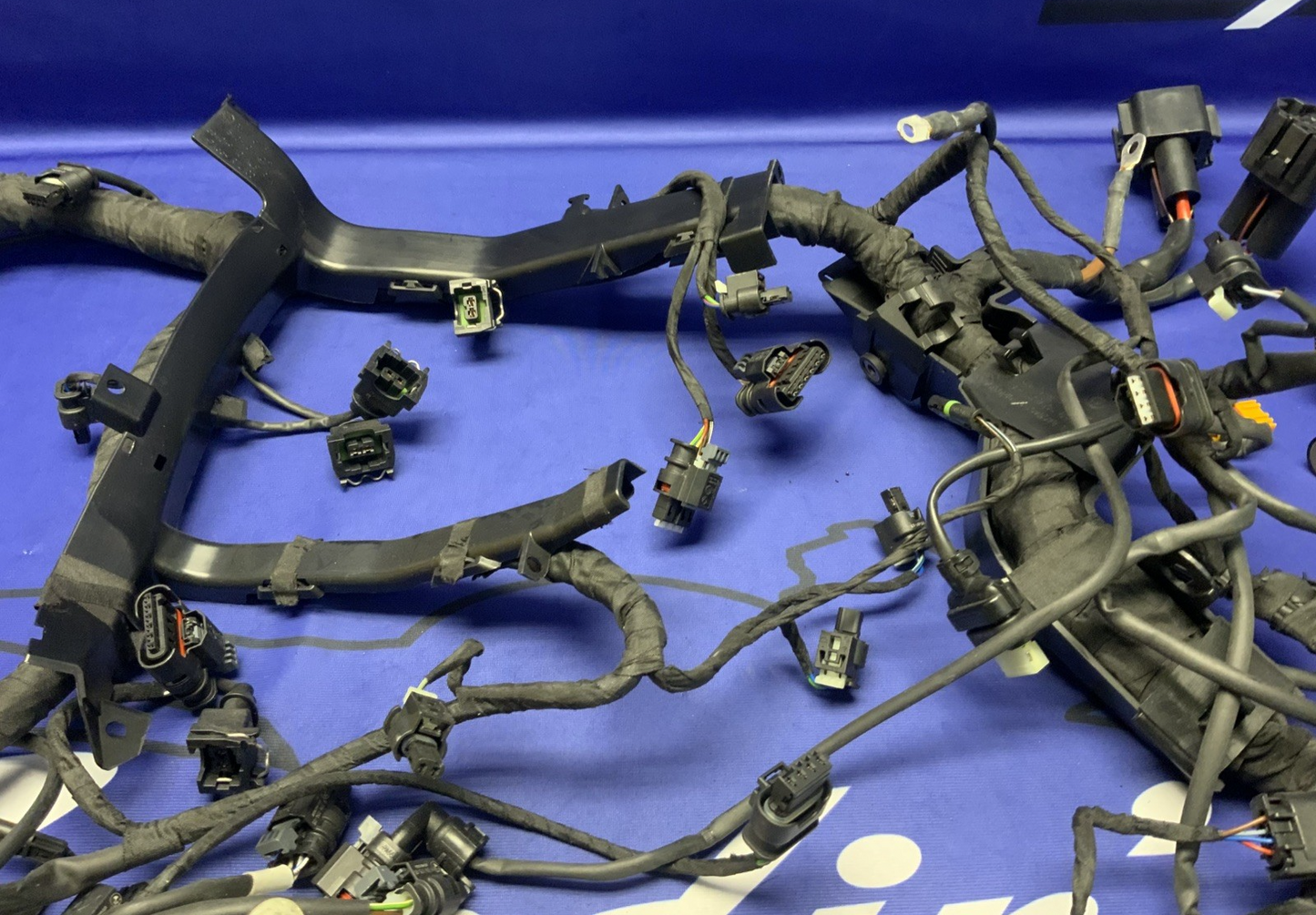 BMW Main Wire Harness S1000RR (K67) 2019-2022 OEM 61117105051