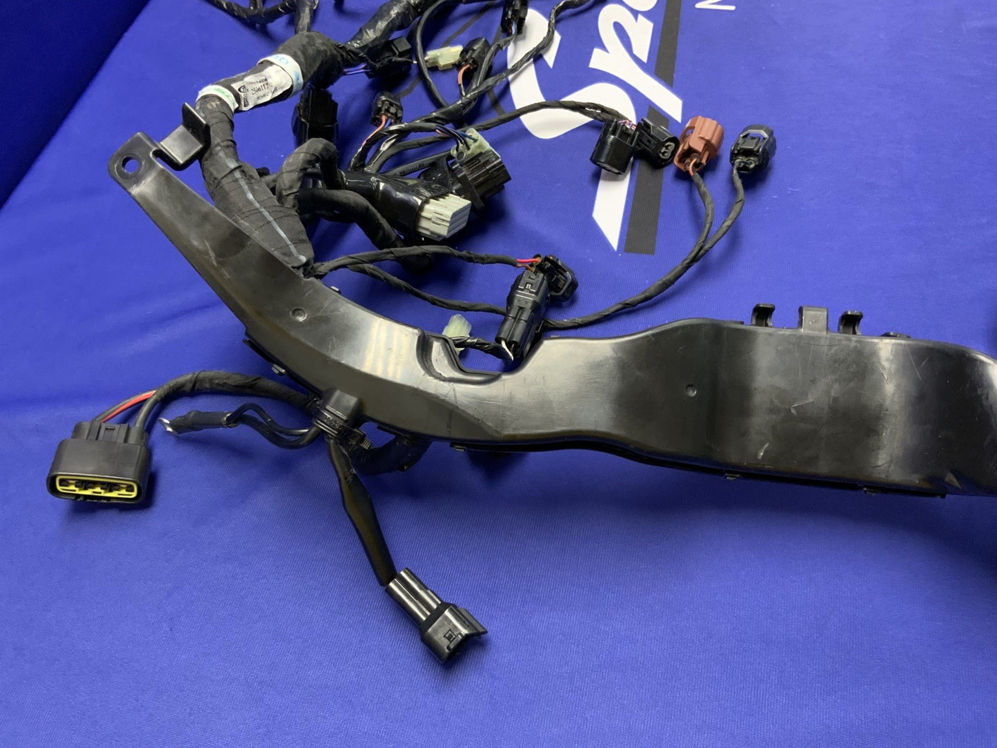 Triumph Main Wiring Harness (No Horn) Street Triple RS 23-25 OEM T2506090-1