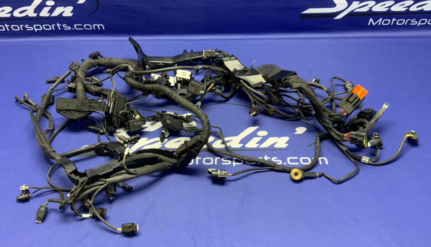 BMW Main Wire Harness S1000RR (K67) 2019-2022 OEM 61117105051