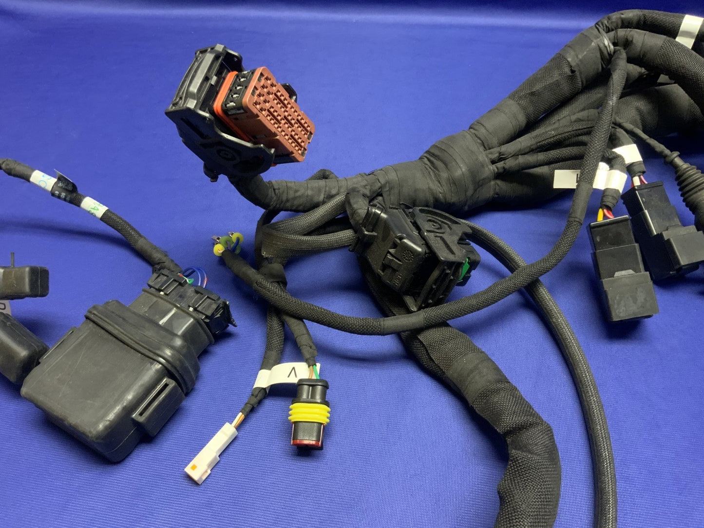 MV Agusta Wiring Harness F3R/RR 2023 OEM 8000D1225