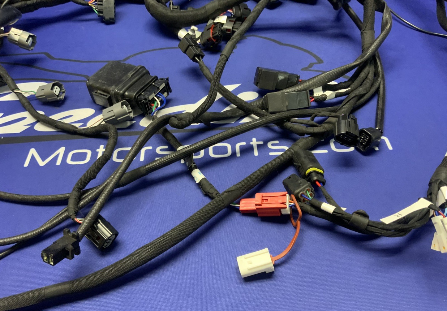 MV Agusta Wiring Harness F3R/RR 2023 OEM 8000D1225