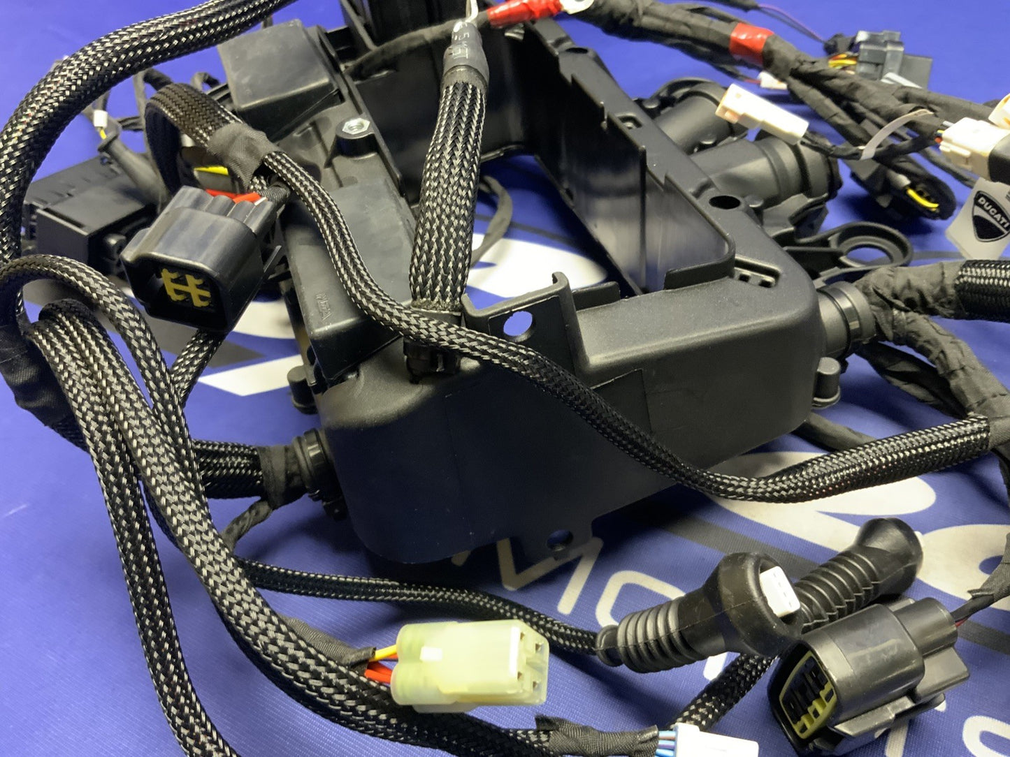 Ducati Main Wiring Harness Panigale V4 Speciale 2019 OEM 5101C371G
