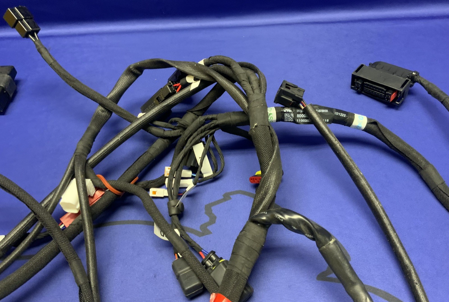 MV Agusta Wiring Harness F3R/RR 2023 OEM 8000D1225