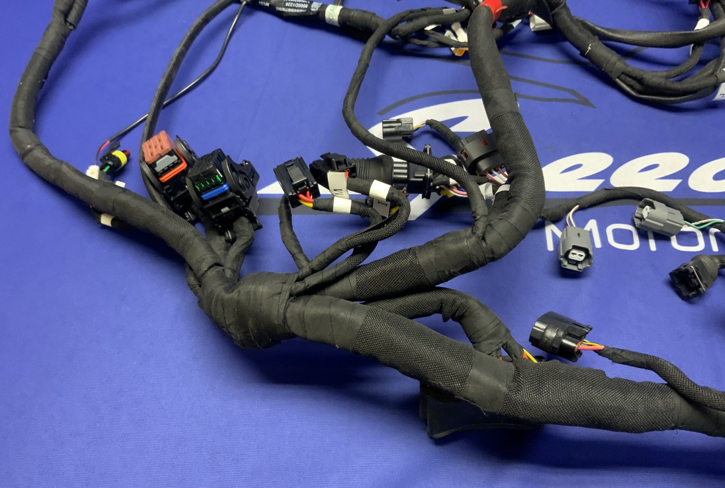 MV Agusta Wiring Harness F3R/RR 2023 OEM 8000D1225
