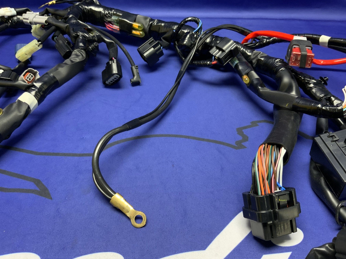 Yamaha Main Wire Harness YZF-R6 2017-2024 OEM BN6-82590-11-00