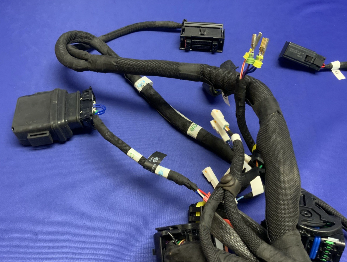 MV Agusta Wiring Harness F3R/RR 2023 OEM 8000D1225