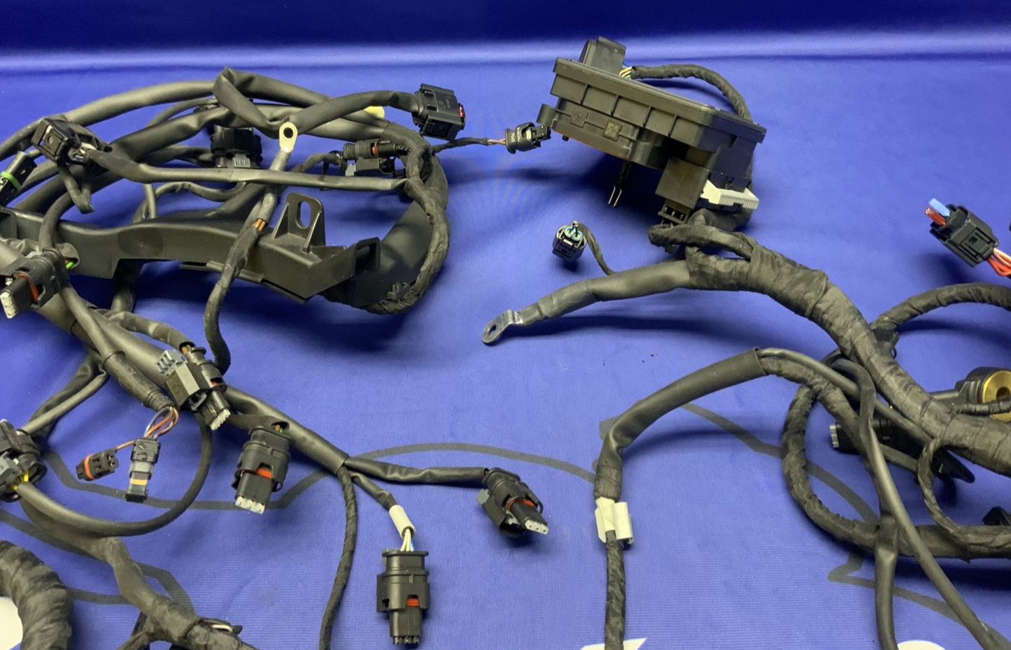 BMW Main Wire Harness S1000RR (K67) 2019-2022 OEM 61117105051