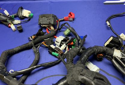 KTM Wiring Harness W/ ECU RC 390 2016-2021 OEM 93511075200