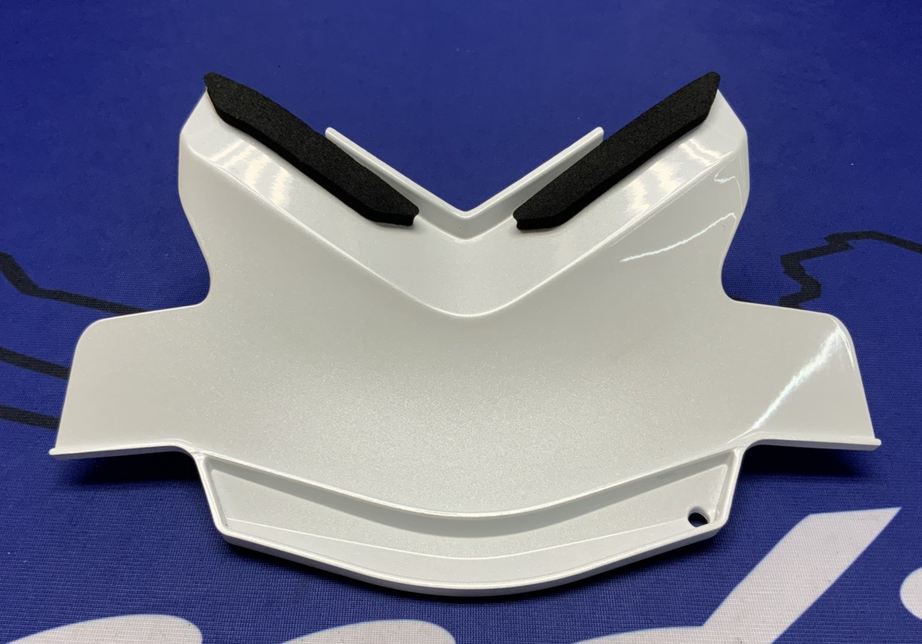 Kawasaki Rear Tail Cover (40th Ann) ZX-10R/RR 2021-2025 OEM 36042-0006-667