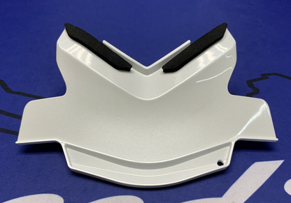 Kawasaki Rear Tail Cover (40th Ann) ZX-10R/RR 2021-2025 OEM 36042-0006-667