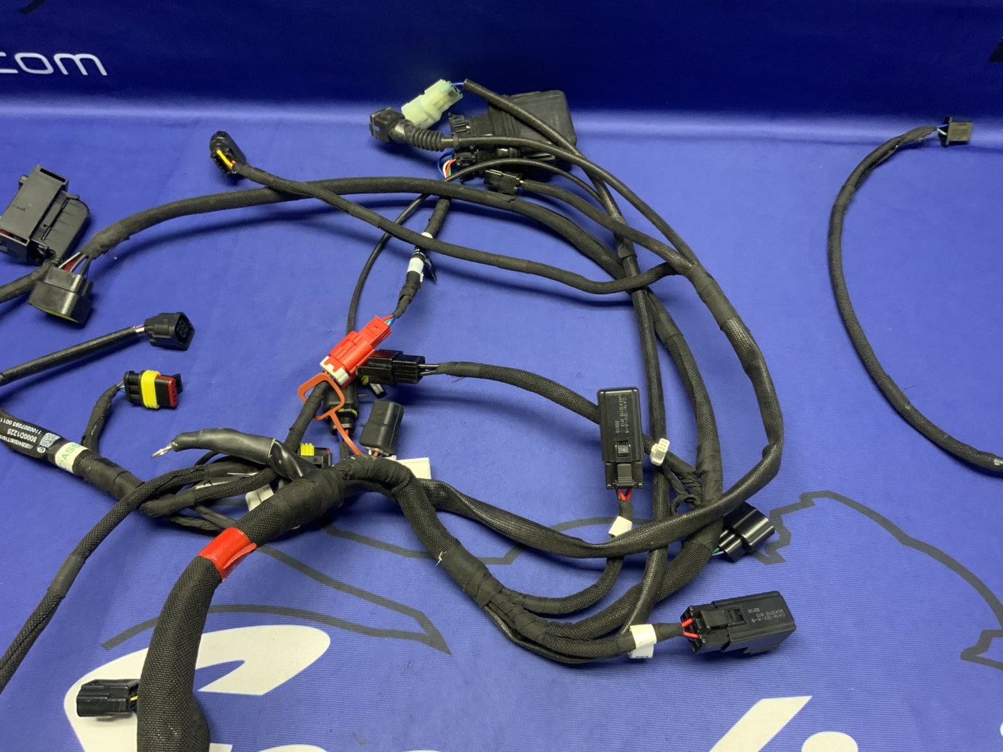 MV Agusta Wiring Harness F3R/RR 2023 OEM 8000D1225