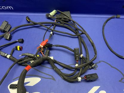 MV Agusta Wiring Harness F3R/RR 2023 OEM 8000D1225